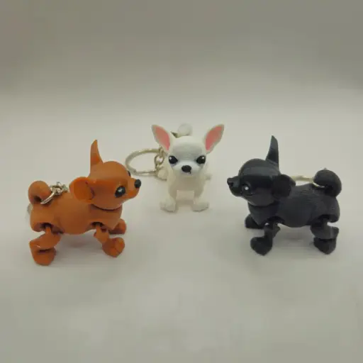 Chihuahua