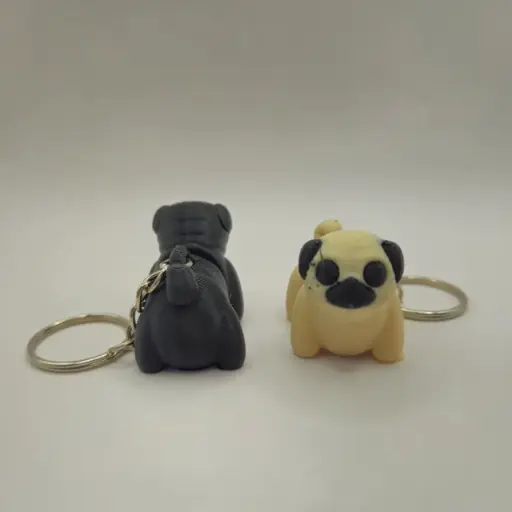 Pug